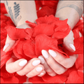 Pack of 500 lifelike red artificial rose petals spread out on a neutral surface